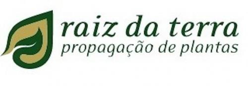 Raiz da Terra